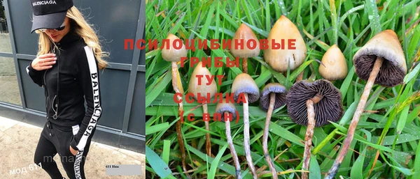MESCALINE Горняк