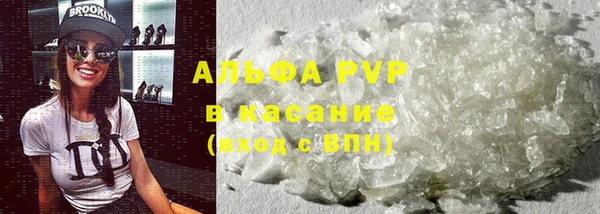 PSILOCYBIN Горнозаводск