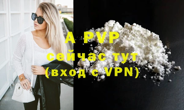 крисы Гусев