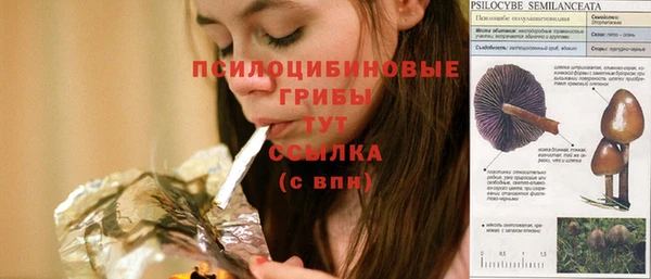 mdpv Гусь-Хрустальный